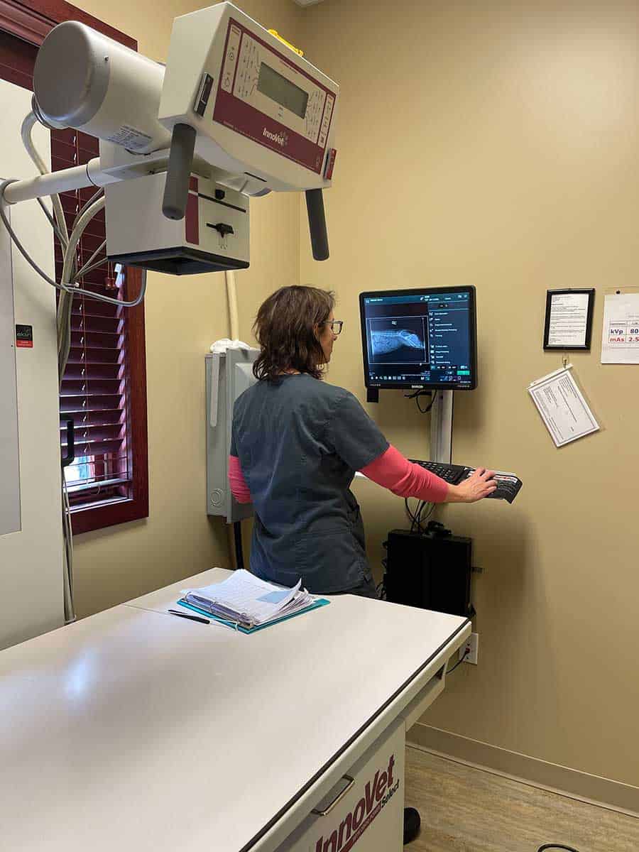 Our x-ray equipment in use Our x-ray equipment in use